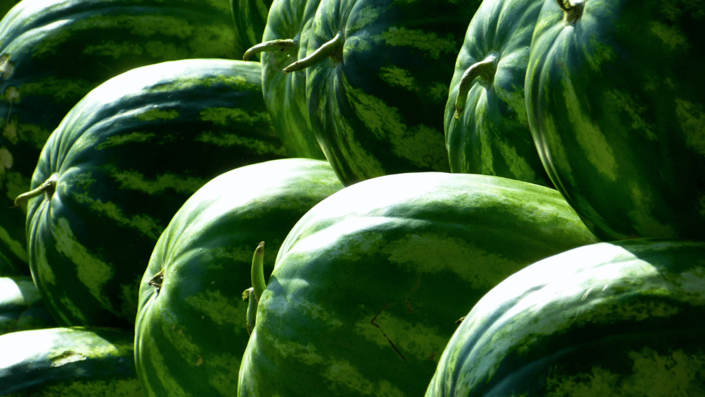 Uncut Melons