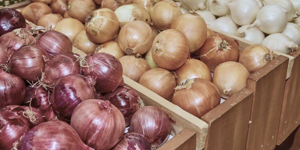 Onions | Foods You Should Never Refrigerate