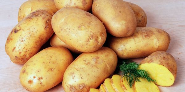 Potatoes |Foods You Should Never Refrigerate