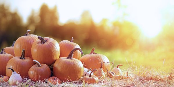 Health Benefits of Pumpkin