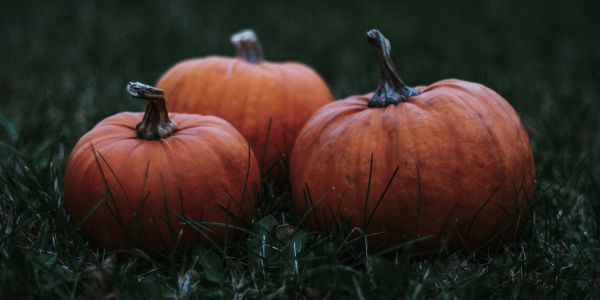 Health Benefits of Pumpkin