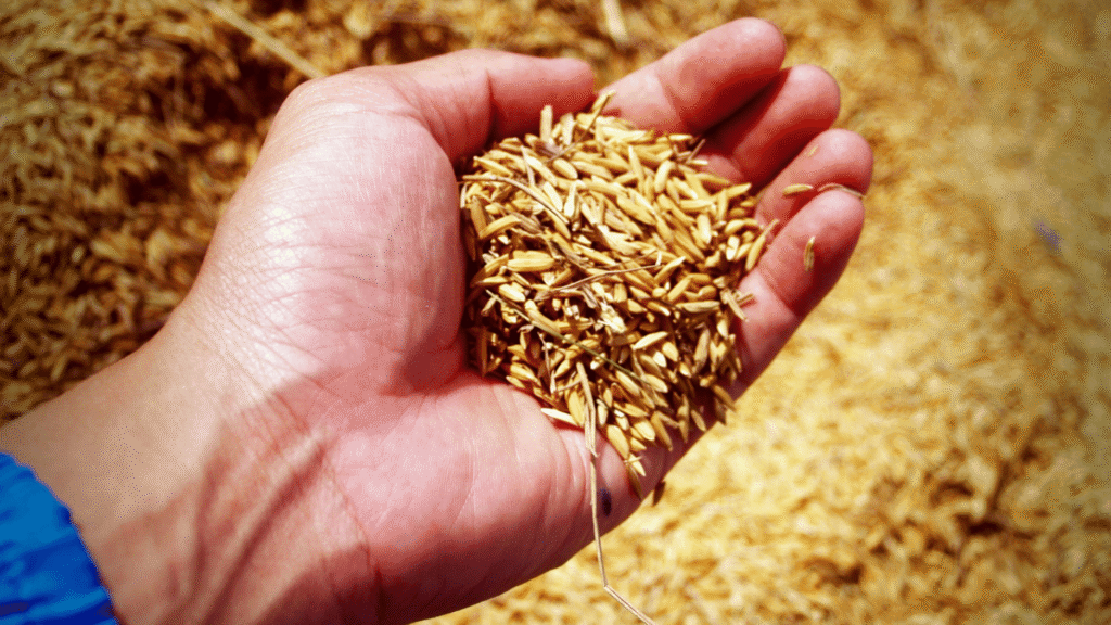 Seeds You Should Never Eat, What to Eat Instead