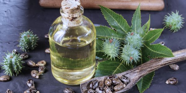 Benefits of Castor Oil