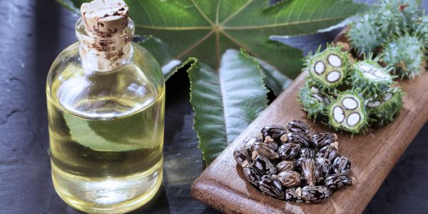 Benefits of Castor Oil