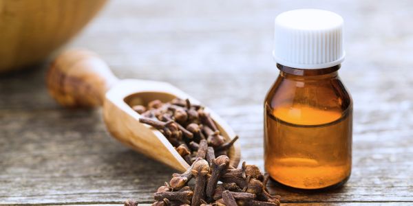 Benefits of Clove