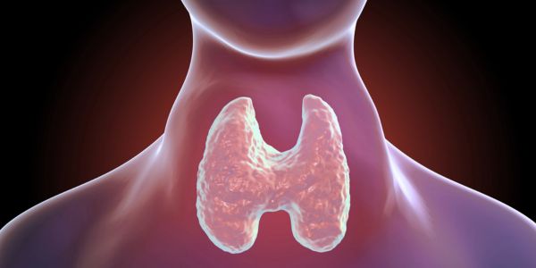 Low Thyroid Hormones