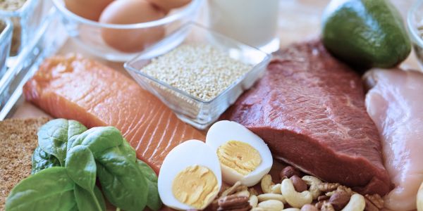 Consume More Protein | Ways to Strengthen Your Knees, Cartilage, and Ligaments