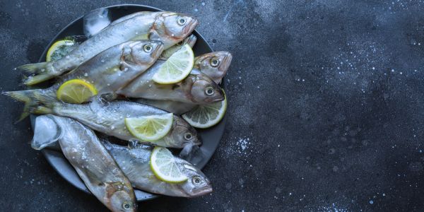 Eating Bluefish | Ways to Strengthen Your Knees, Cartilage, and Ligaments