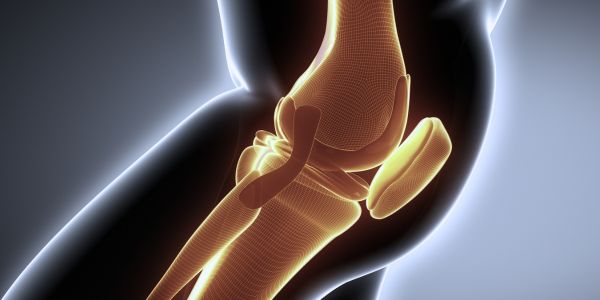 Ways to Strengthen Your Knees, Cartilage, and Ligaments