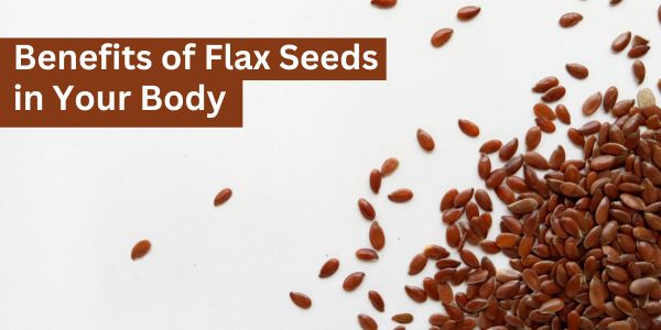 Flax Seeds