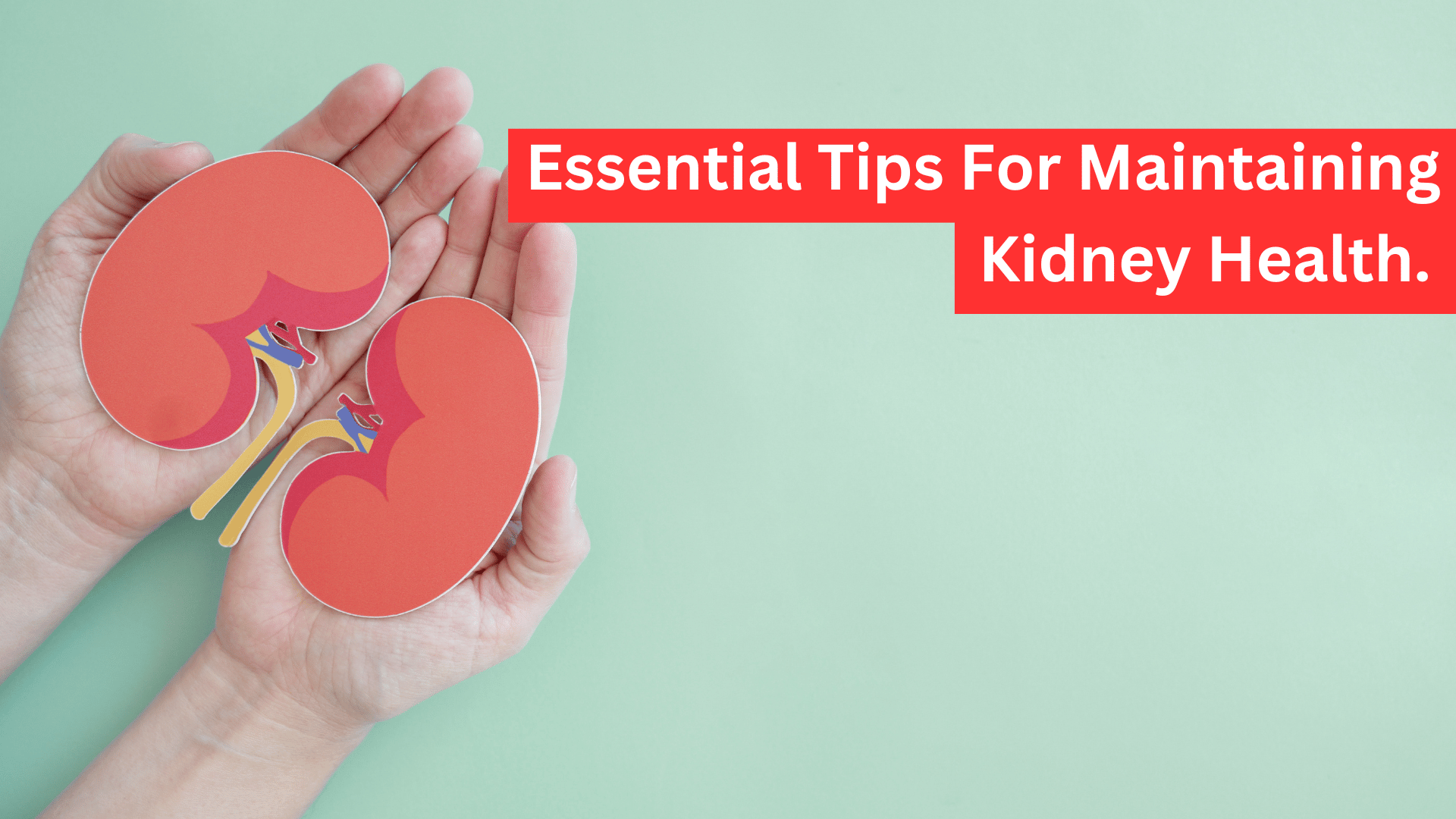 9 Essential Tips for Maintaining Kidney Health