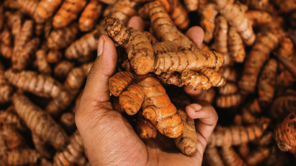 Turmeric