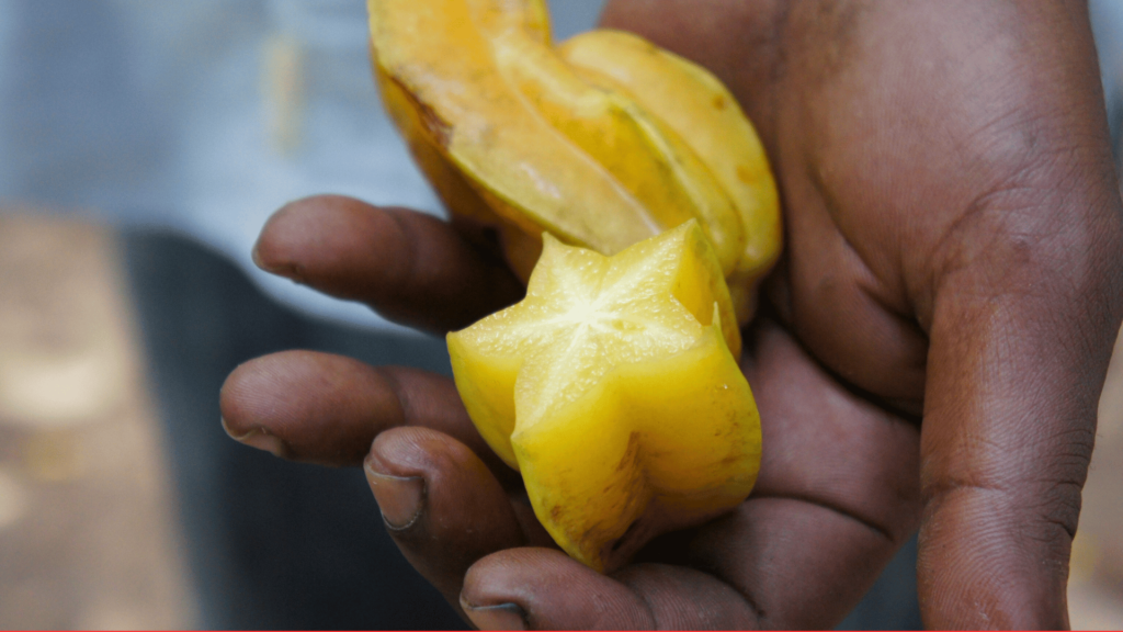 Starfruit