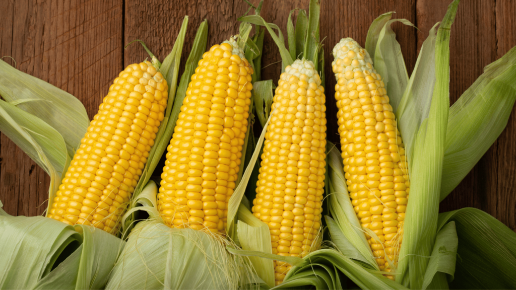 Corn